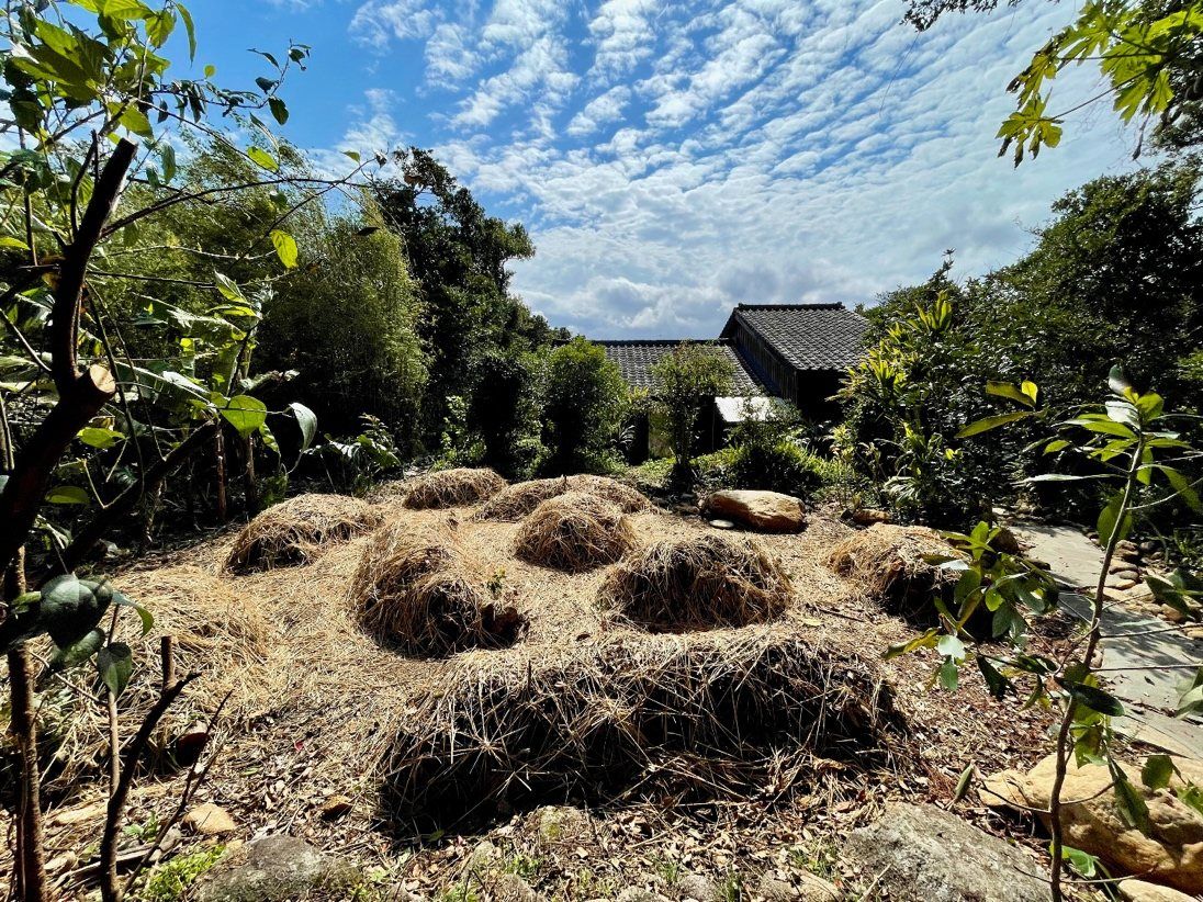 Early Hügelkultur mounds in the main garden